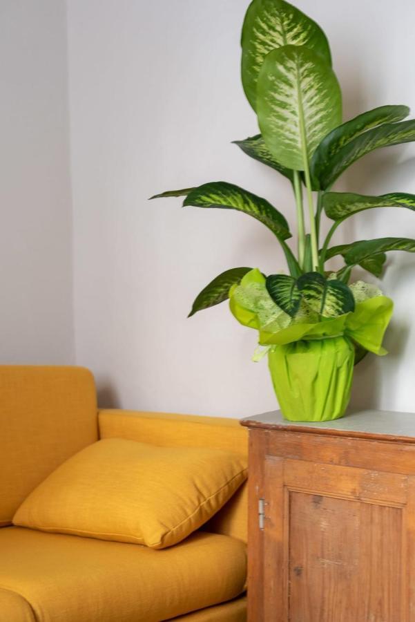 Apartment San Zanobi Family In *